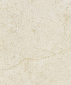CM3601 [12x24] Crema Marfil