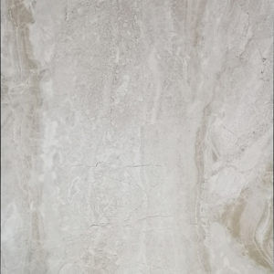 DN36331 [12x24] Dino Light