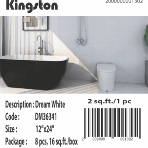 DM36341 [12x24] Dream White