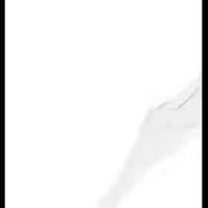 IS3901 ISABELLA SNOW [12x36]