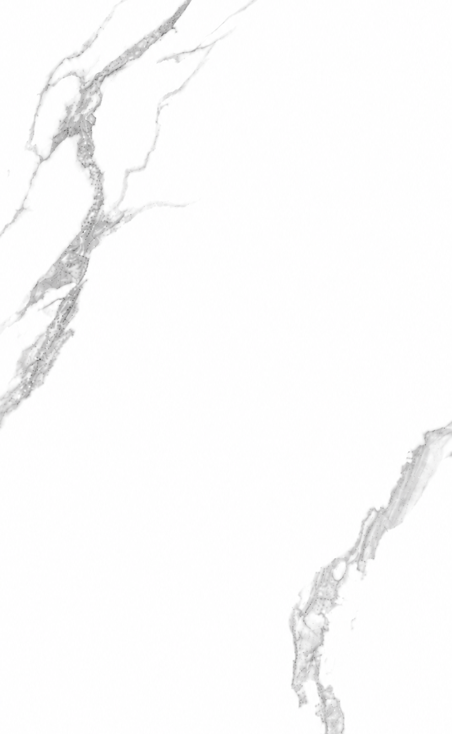 Rockwood Bianco Matt-PY3648M  [12x24]