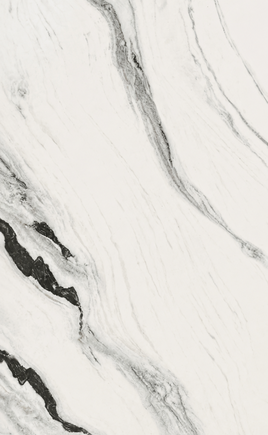 Panda White Matt [24x48]