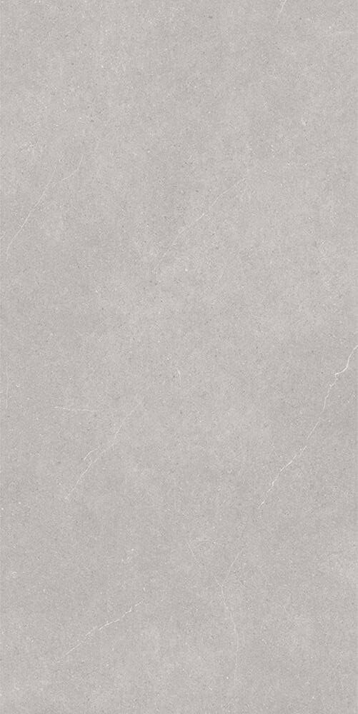 MOSS GREY-NY612173 [24X48]