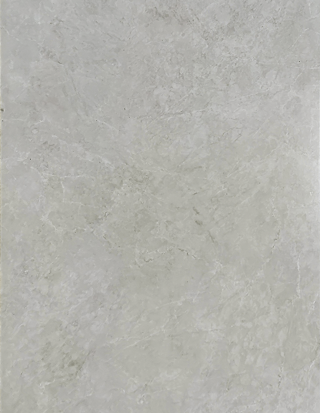 Camilia Smoke Grey-TE12606 [24x48]