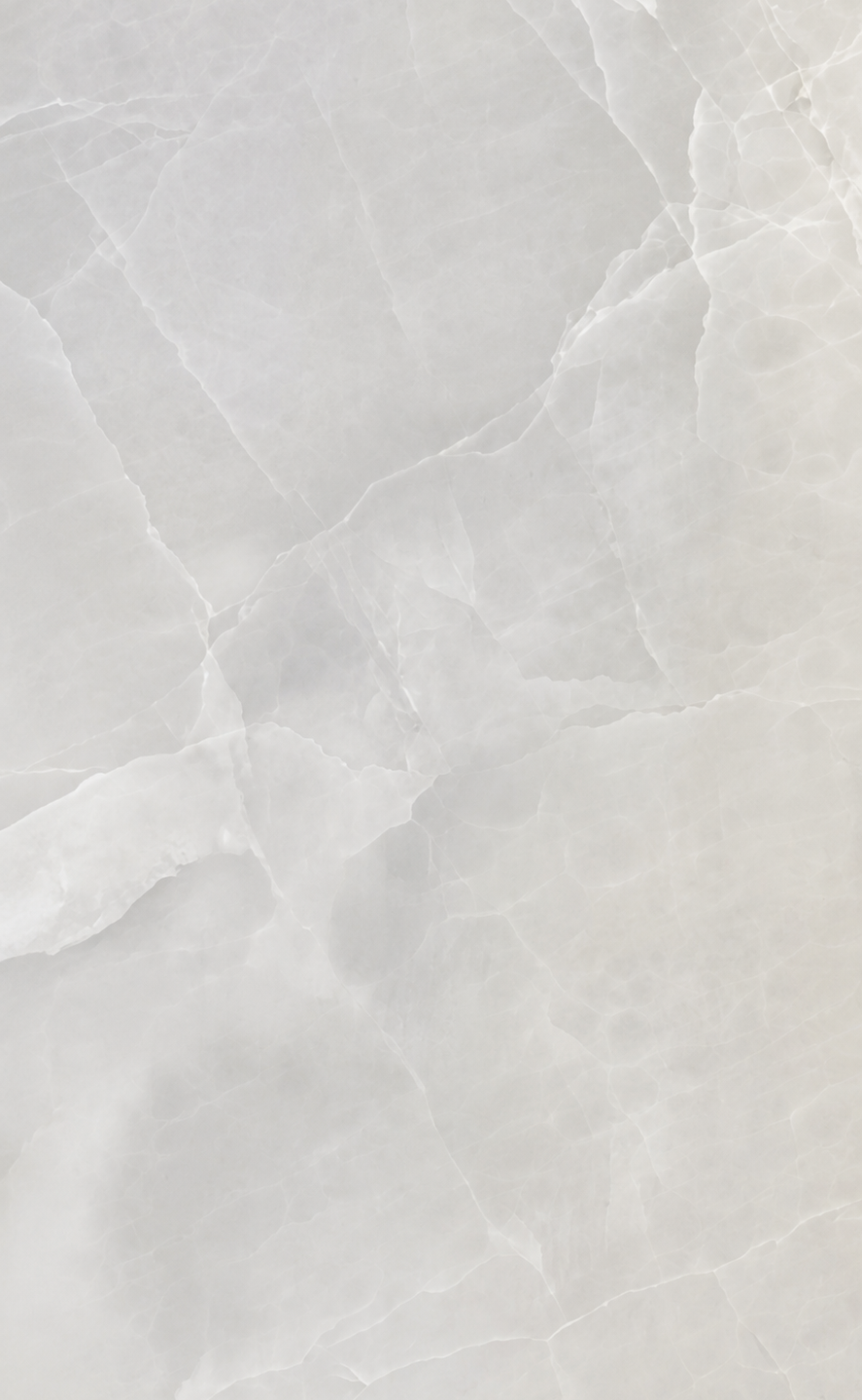 Onex Silver-BPCK1281 [24x48]