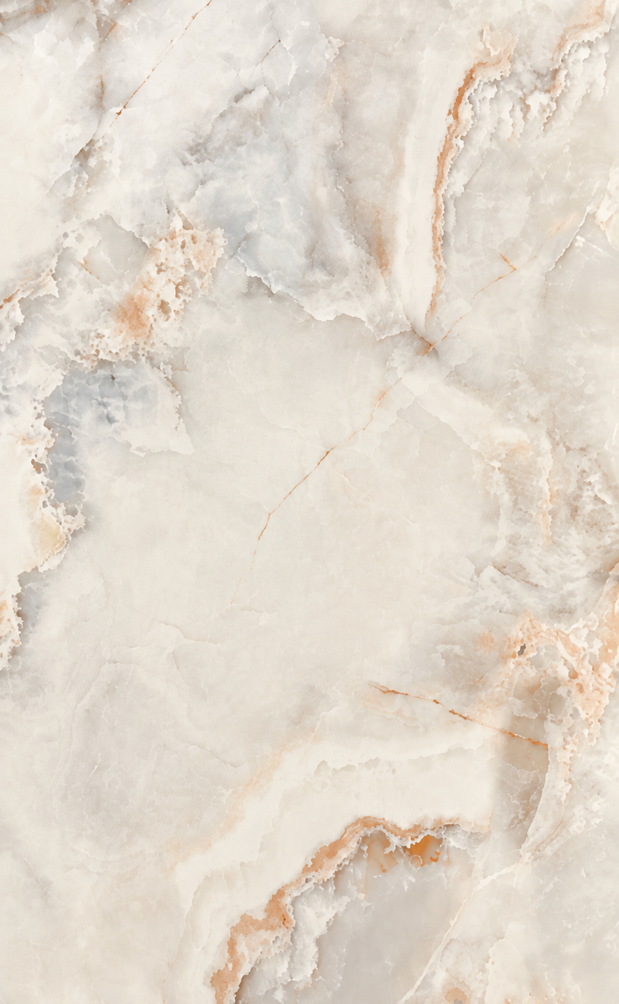 Onex Gold-BPCK1283 [24x48]