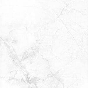 KR6012018 [24X48] Camellia Winter Grey