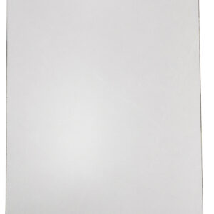 TE12610 [24X48] CAMELIA Fall Matt