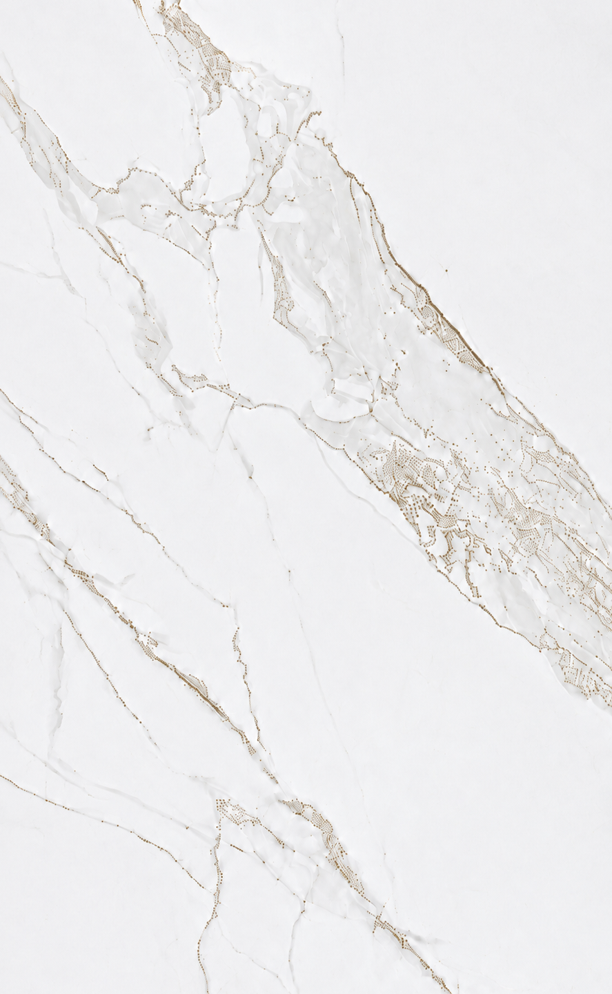Calacatta Platinum-BPCK1280 [24X48]