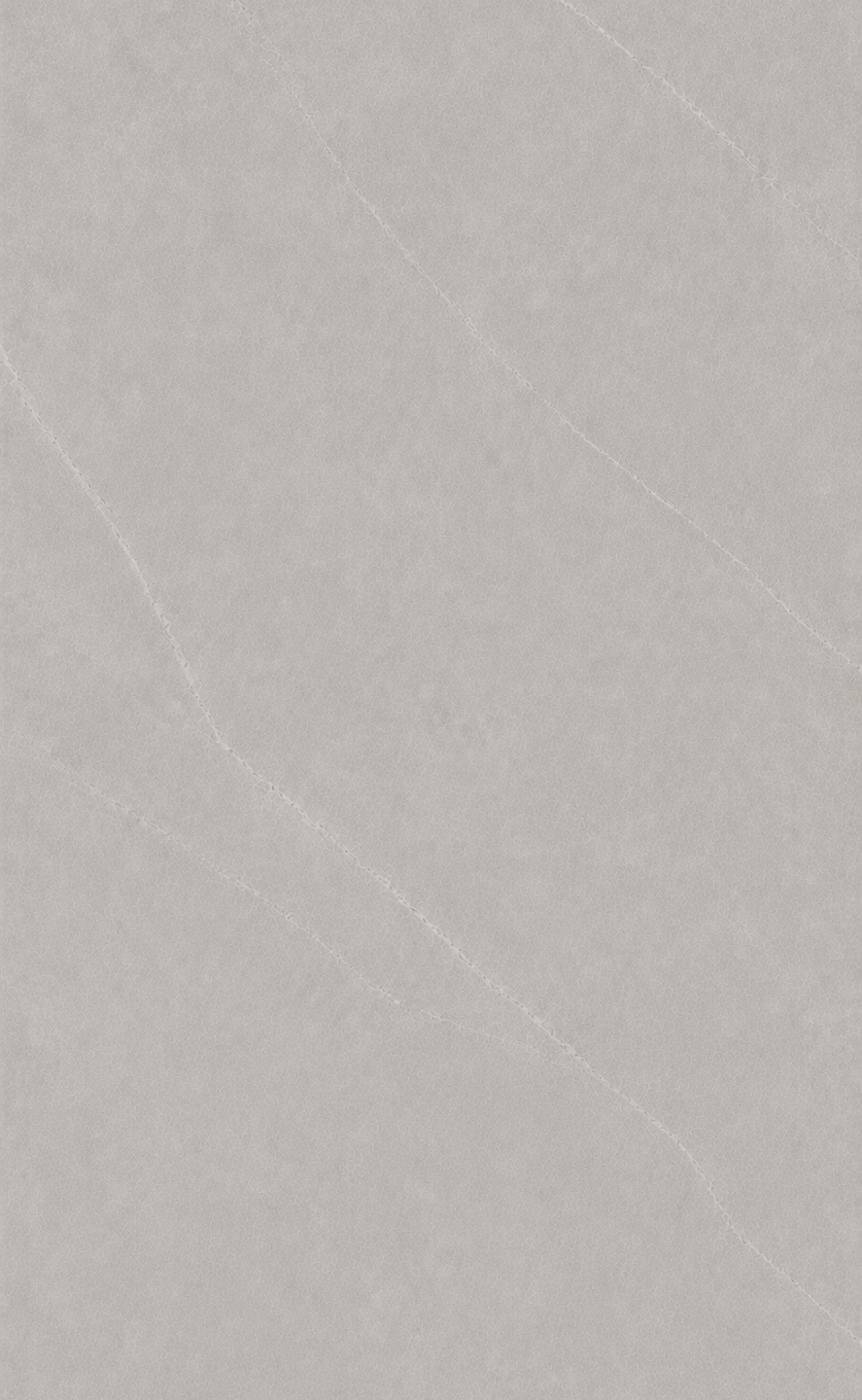 Lamia Grey Polished-BPCK1271 [24X48]