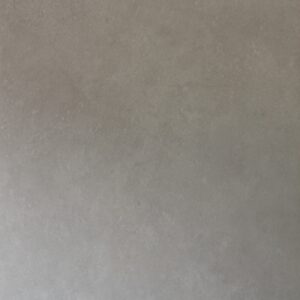 TE12605 CAMELIA SAND 24x48 matt