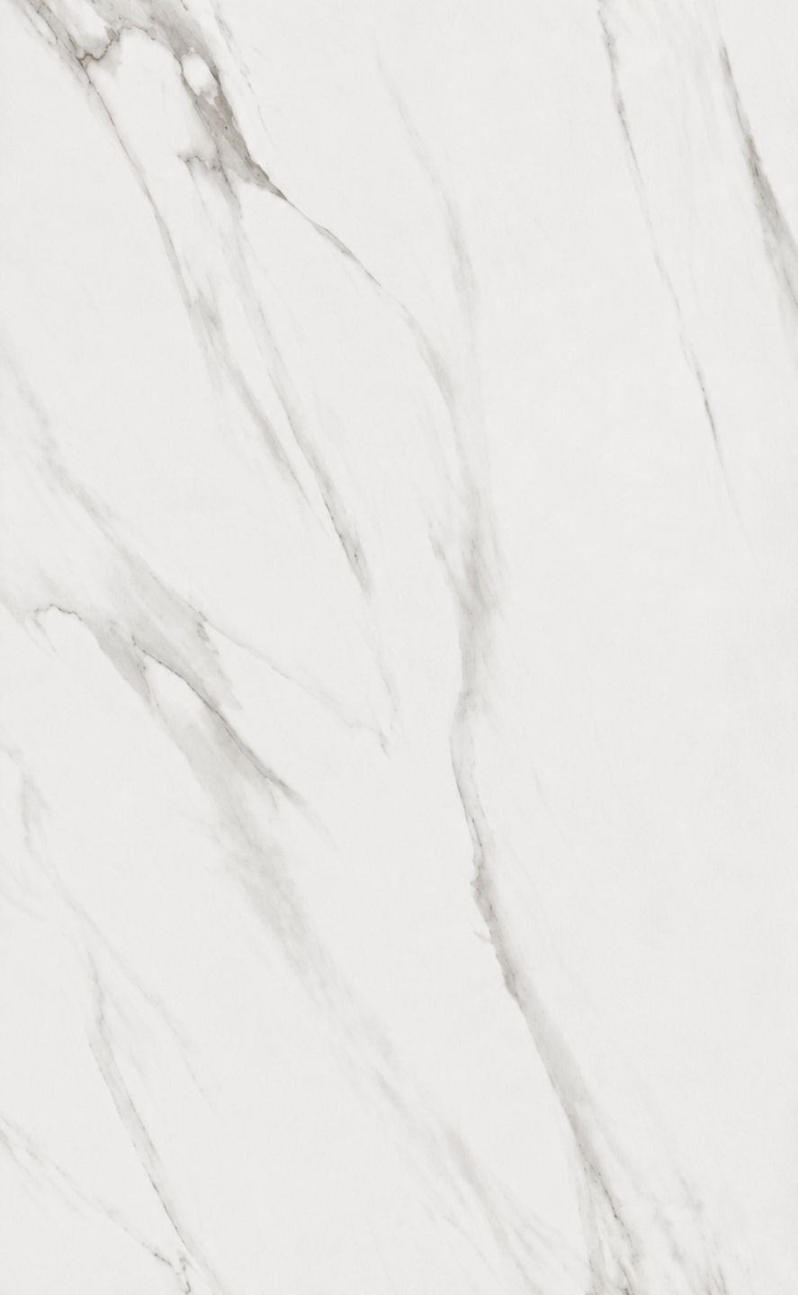 Dream White Matt-DM12340M [24x48]