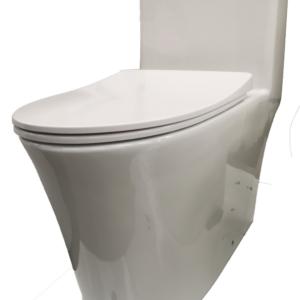 W2111 -----White one piece toilet